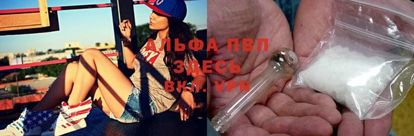прущие грибы Гусев