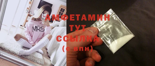 сатива Гусь-Хрустальный