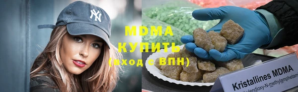 прущие грибы Гусев