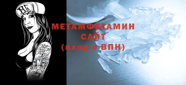 прущие грибы Гусев