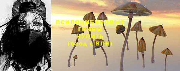 MESCALINE Гусиноозёрск