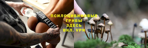 сатива Гусь-Хрустальный