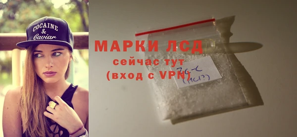 сатива Гусь-Хрустальный