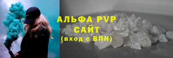 сатива Гусь-Хрустальный