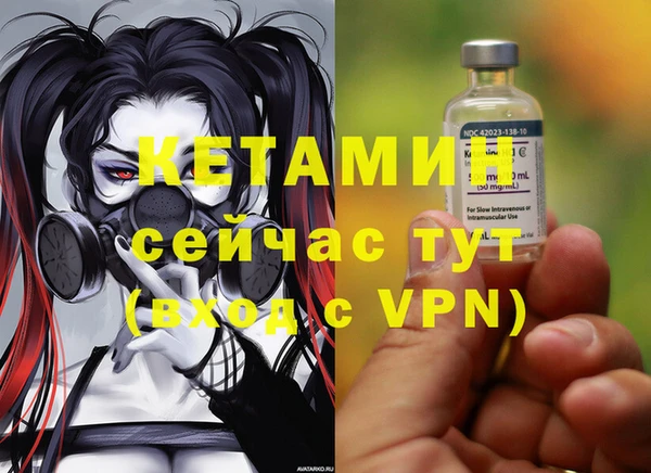 прущие грибы Гусев