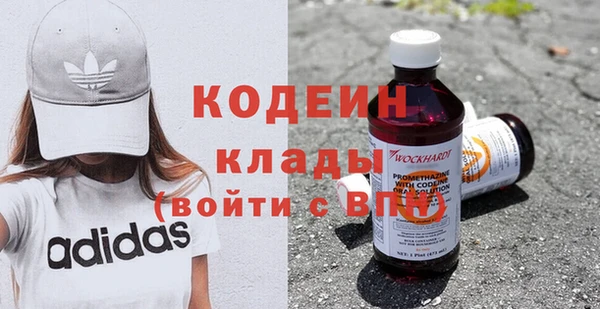 сатива Гусь-Хрустальный