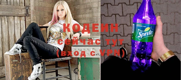 прущие грибы Гусев