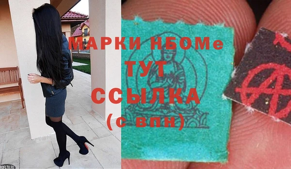 прущие грибы Гусев