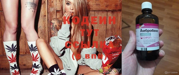 сатива Гусь-Хрустальный
