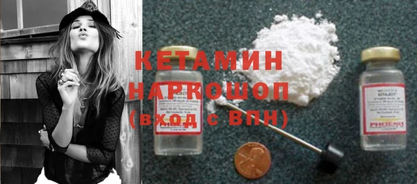 прущие грибы Гусев