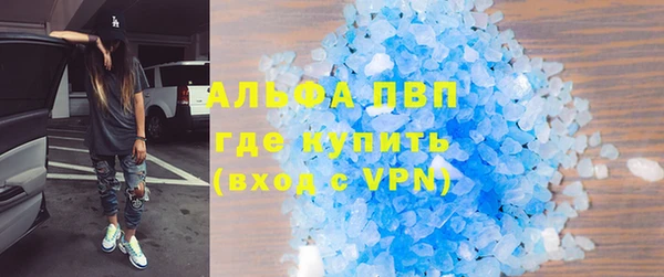 сатива Гусь-Хрустальный