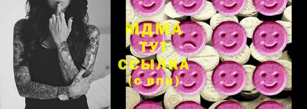 прущие грибы Гусев