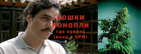 прущие грибы Гусев