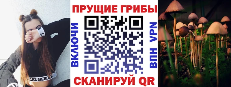 Галлюциногенные грибы ЛСД  Северо-Курильск 